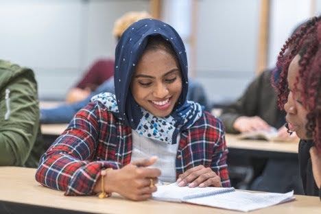 Mentoring for Equity in Education Award